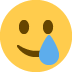 🥲 🥲